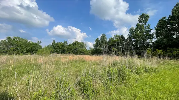 0 Mac Lane, Ames, TX 77575