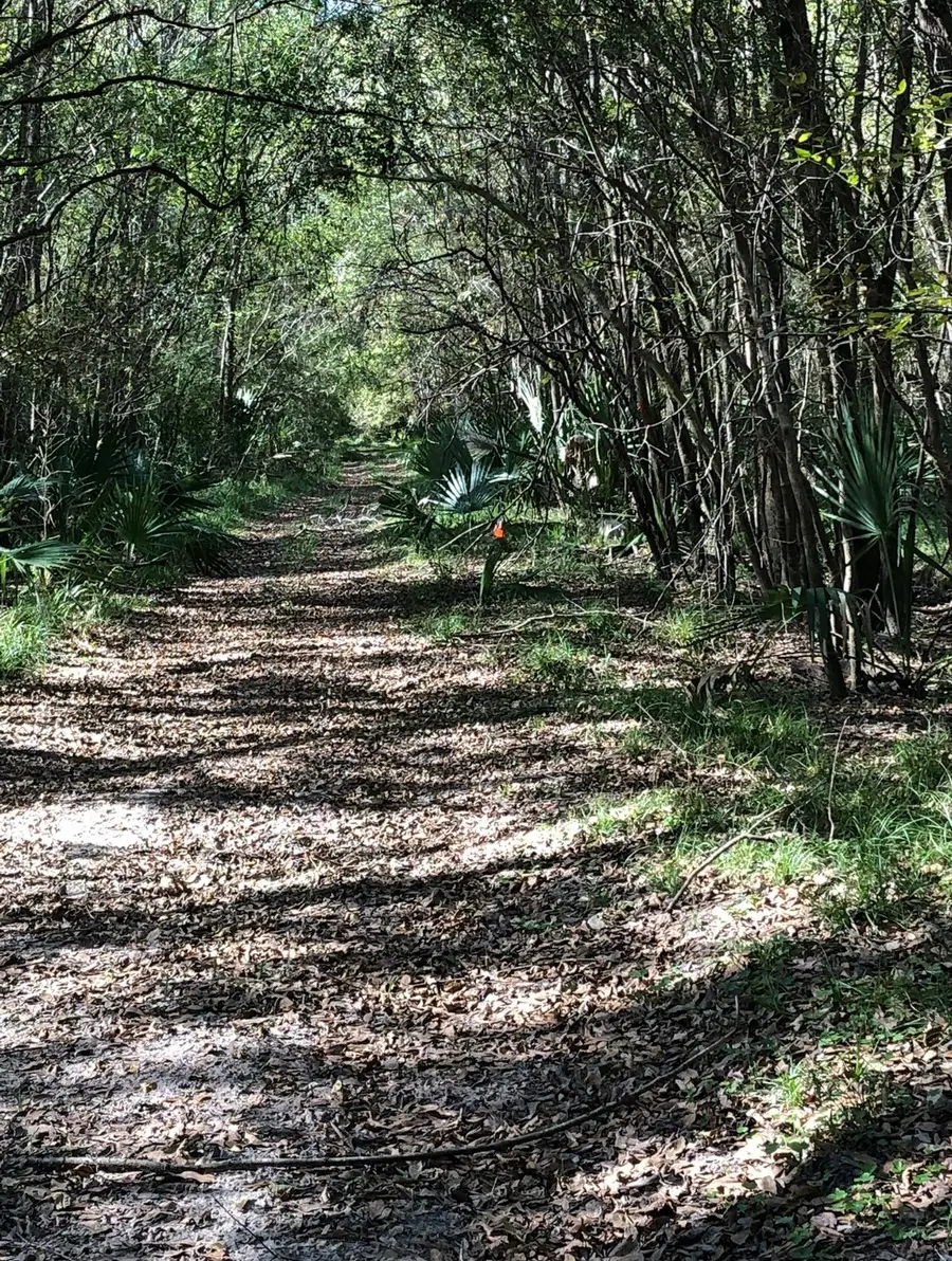 0 115300, Magnolia, TX 77354 - #2