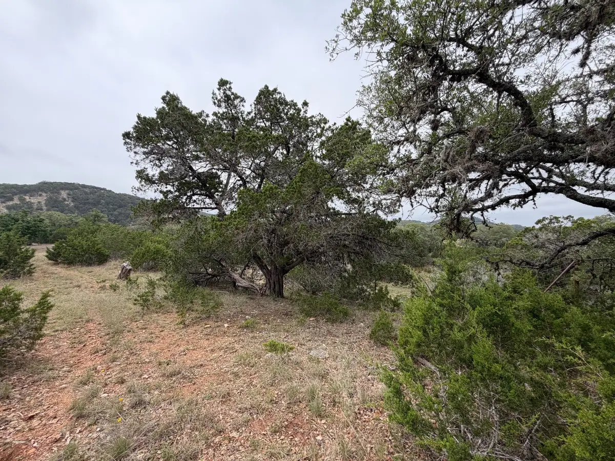 0000 Fm 289, Comfort, TX 78006 - #1