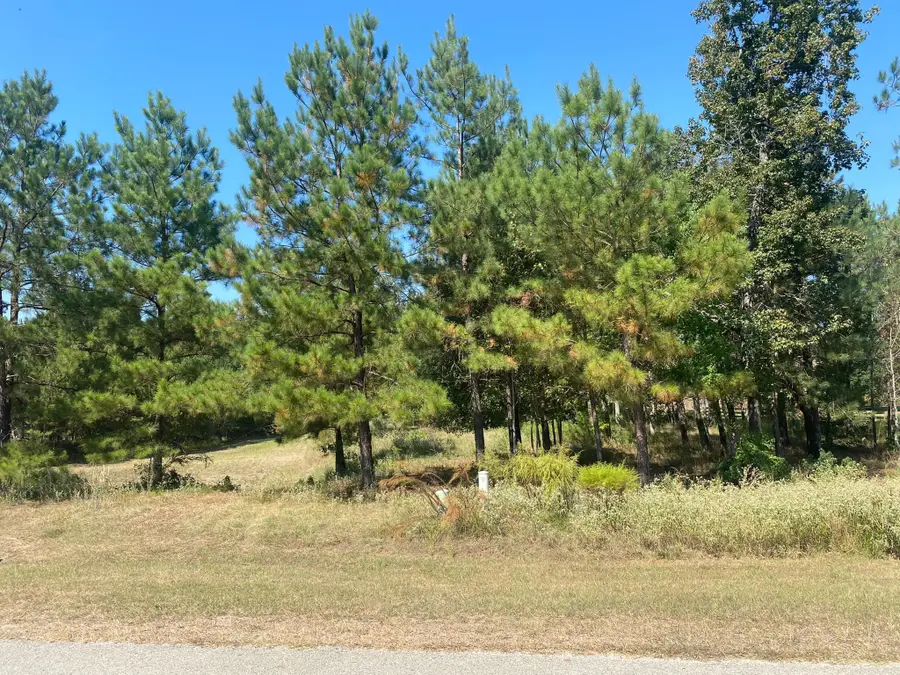 393 Ridge Lake Scenic Drive, Montgomery, TX 77316 - #2