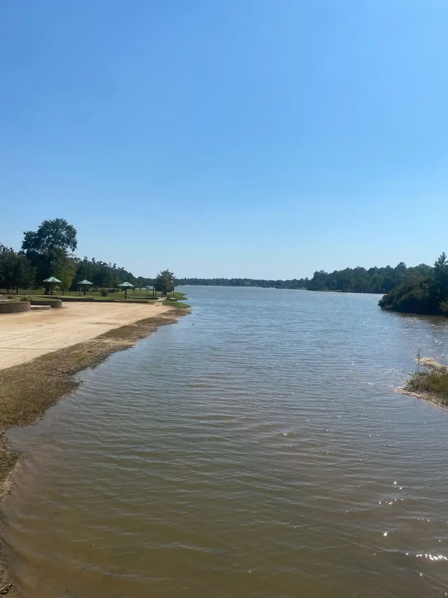 393 Ridge Lake Scenic Drive, Montgomery, TX 77316 - #3