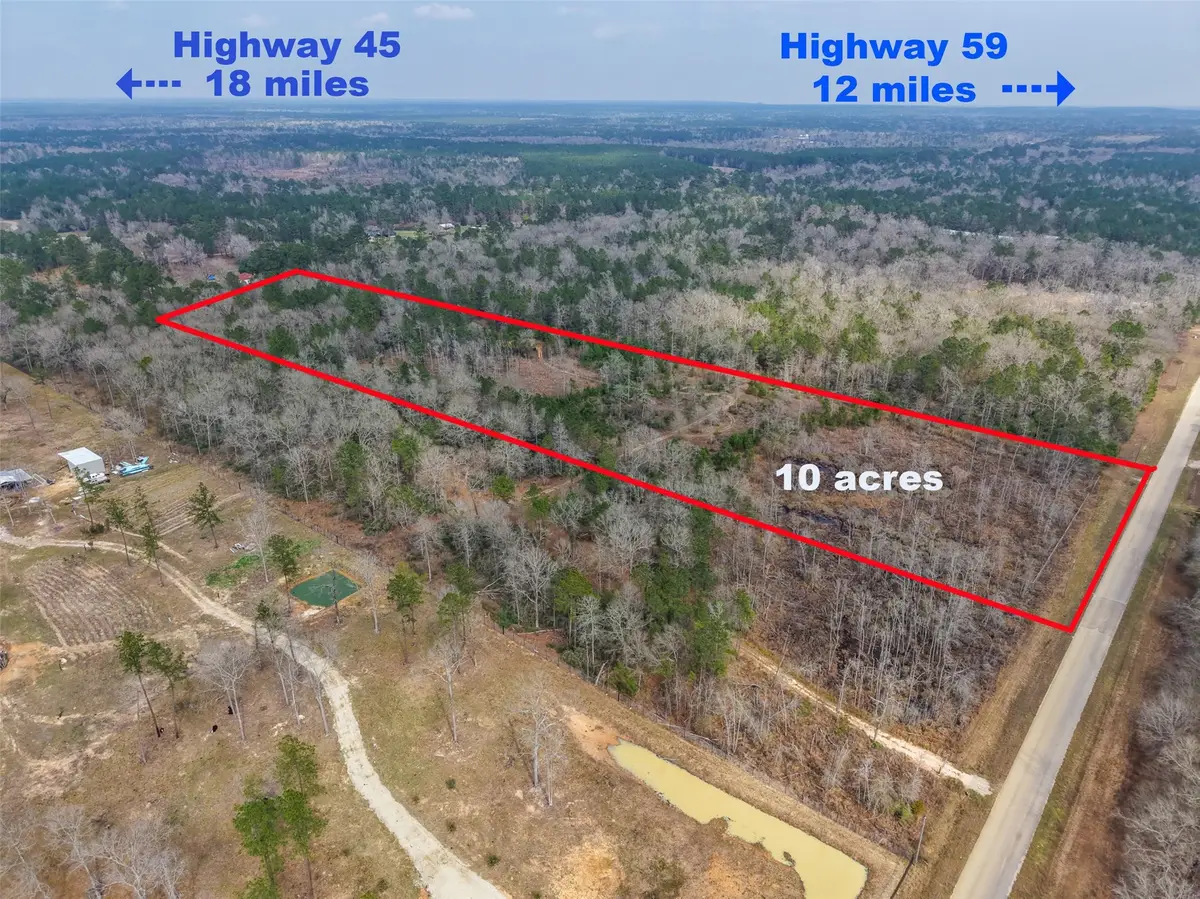 21251 Doru Drive, Cleveland, TX 77328 - #1