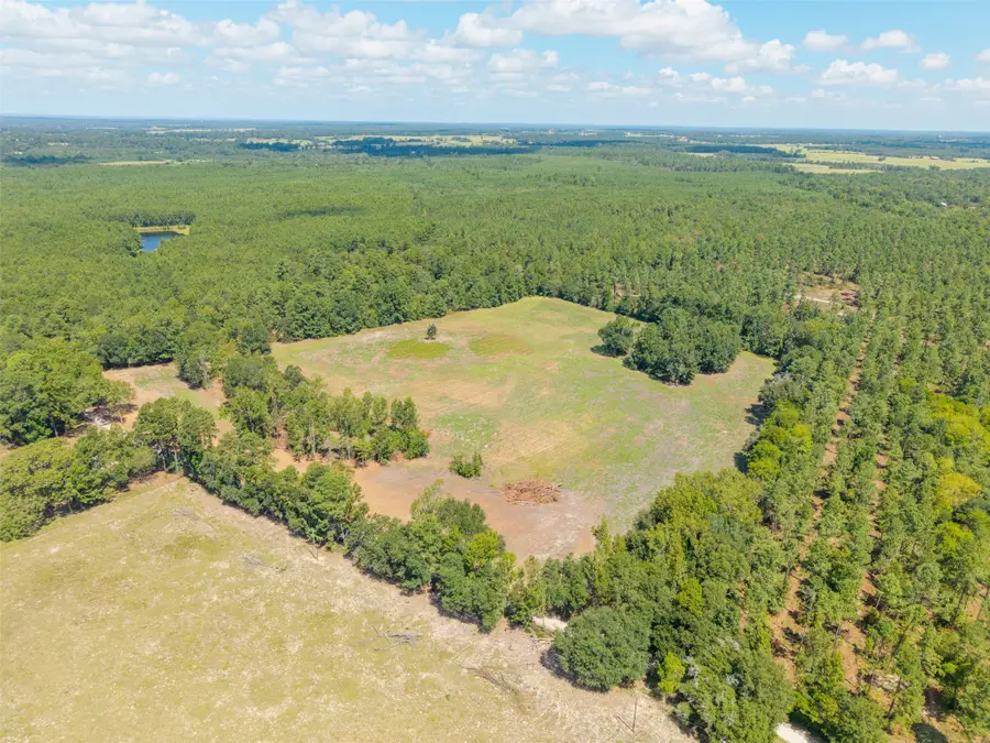 TBD Cr 3365, Lovelady, TX 75851 - #3
