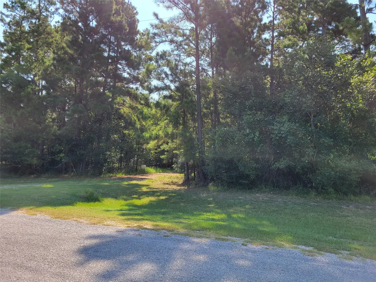 79 Roundabout Lane, Huntsville, TX 77320 - Image #1