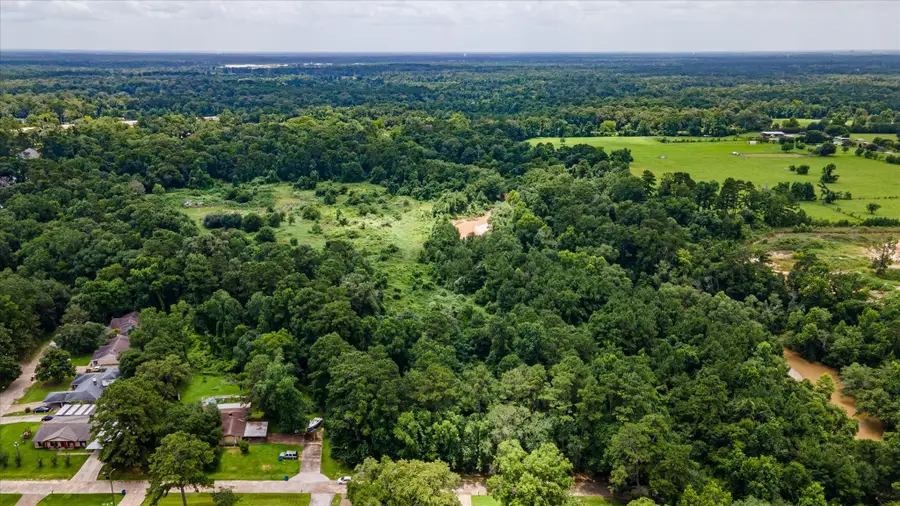 0 Alpestrine Dr, New Caney, TX 77357 - #2
