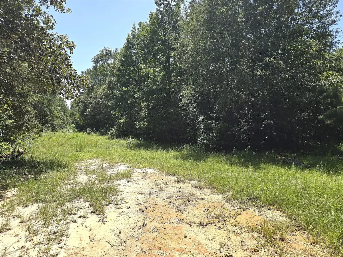 1031 Plantation Drive, Livingston, TX 77351 - #1