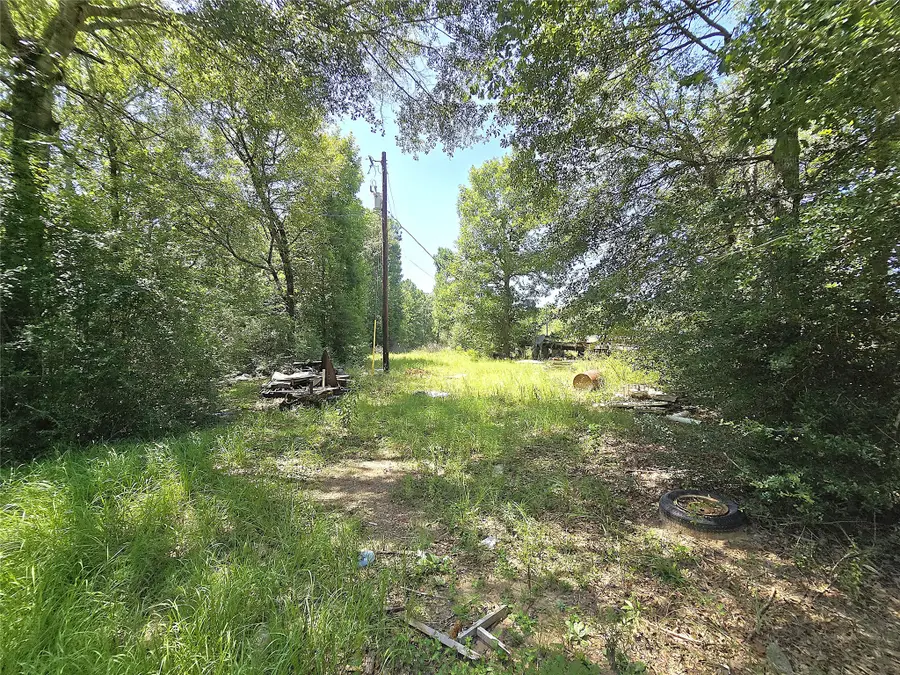 1031 Plantation Drive, Livingston, TX 77351 - #2