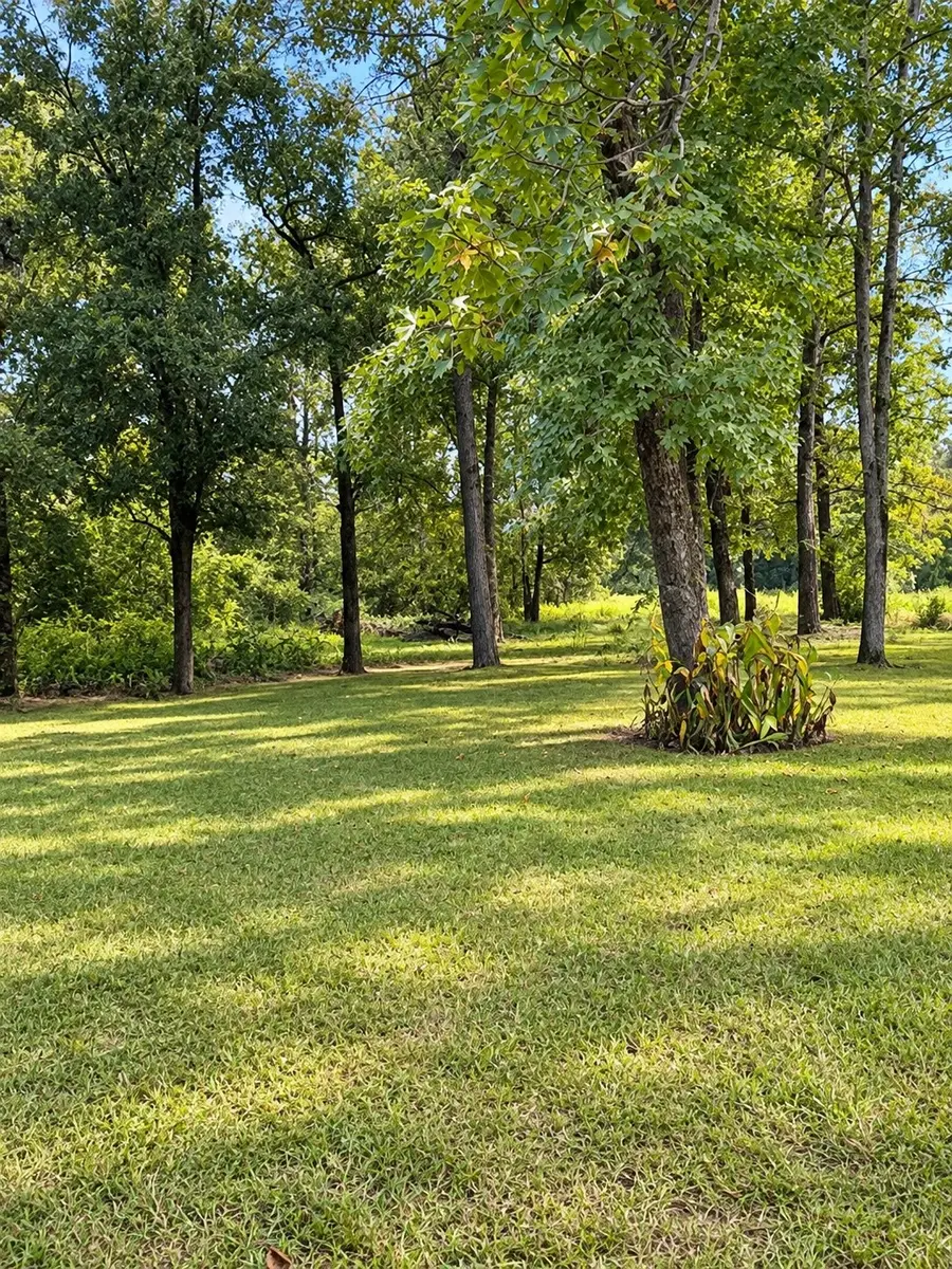 25710 Wildflower Drive, Magnolia, TX 77354 - #2