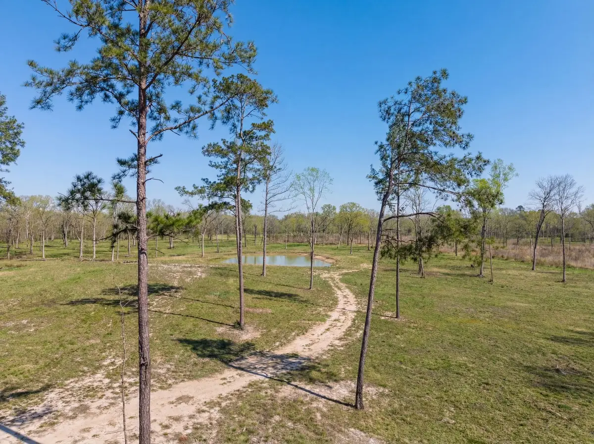 Lot 6 Johnson Drive, Livingston, TX 77351 - #1