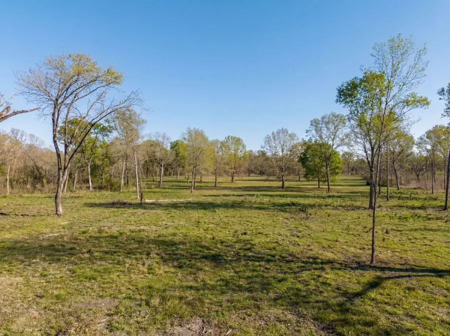 Lot 6 Johnson Drive, Livingston, TX 77351 - #3