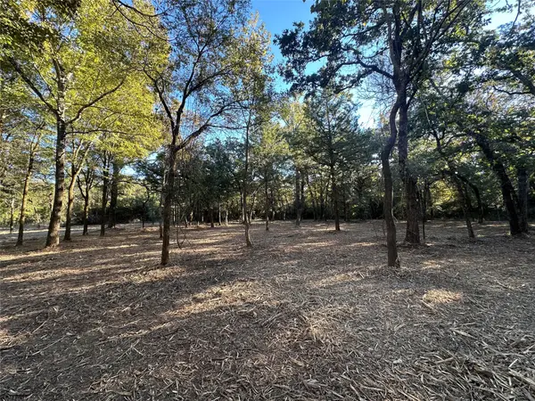 TR 4 Cr 219, Buffalo, TX 75831