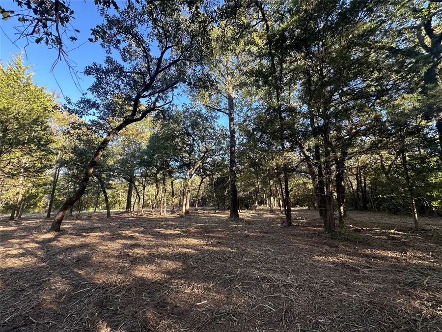 TR 4 Cr 219, Buffalo, TX 75831 - Image #2