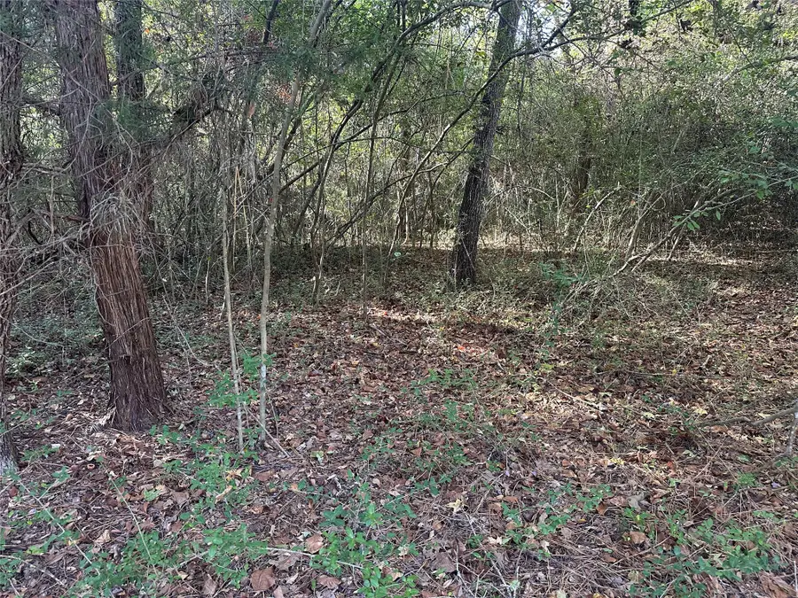 TR 4 Cr 219, Buffalo, TX 75831 - Image #3