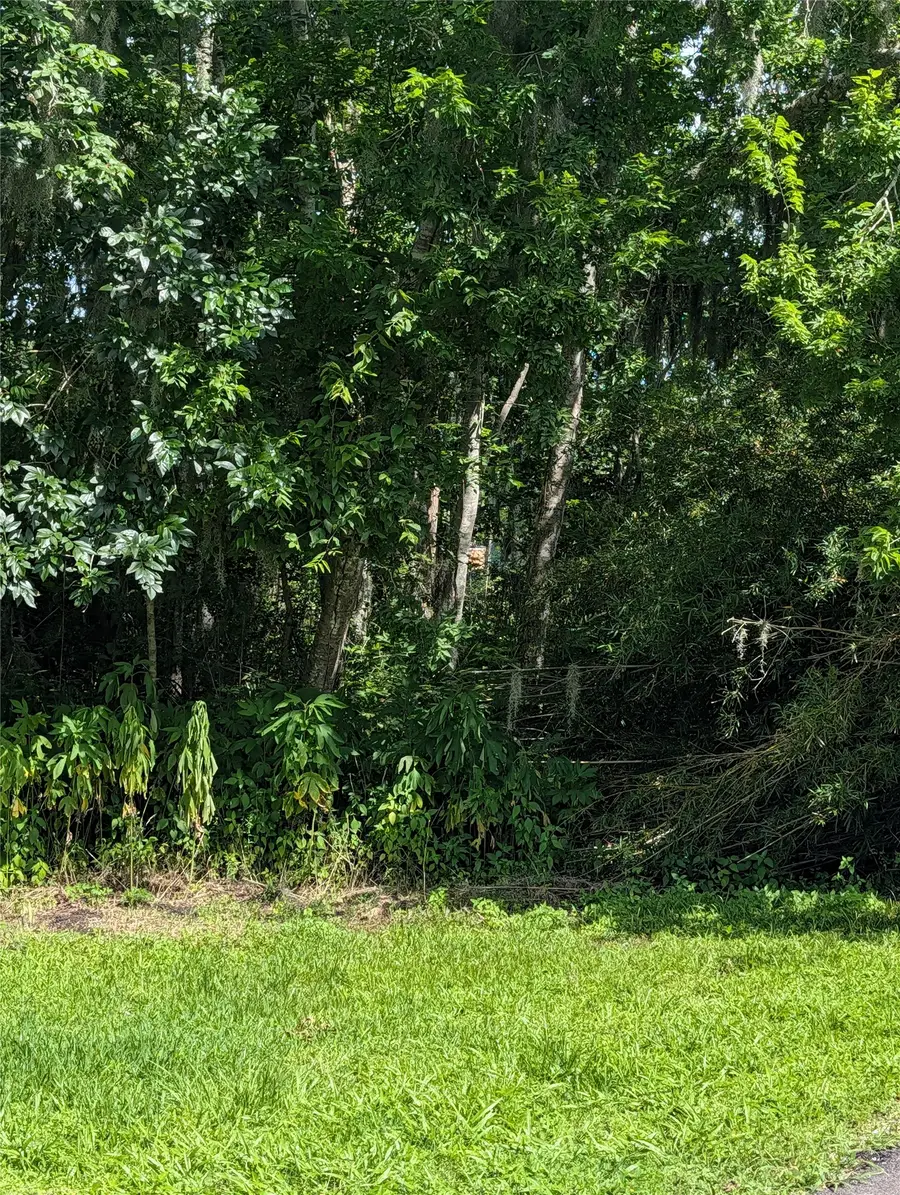 000 Bay Court, Brazoria, TX 77422 - #3