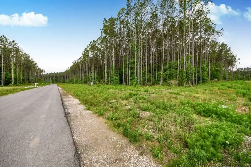 4265 Road 66126, Dayton, TX 77535 - #3