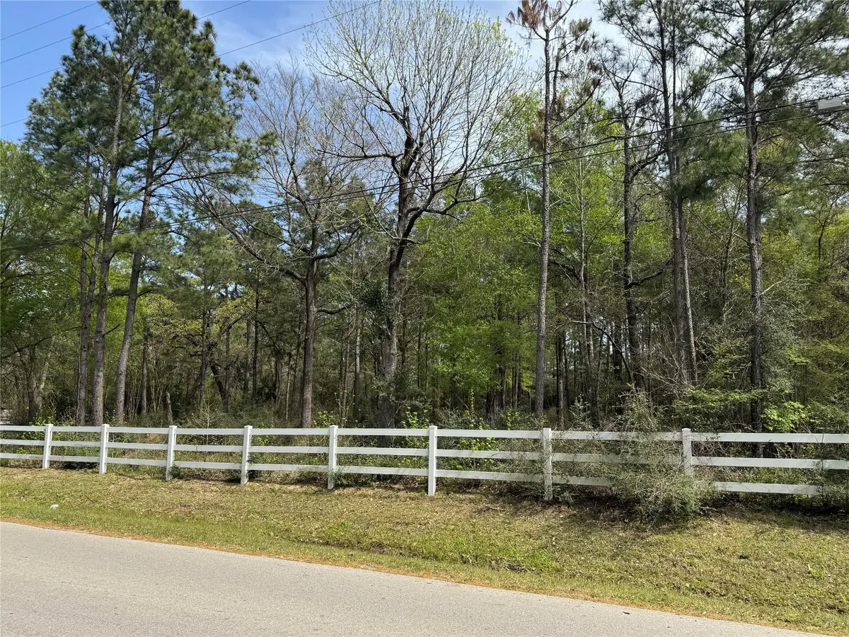 33726 Thousand Oaks Boulevard, Magnolia, TX 77354 - Image #1