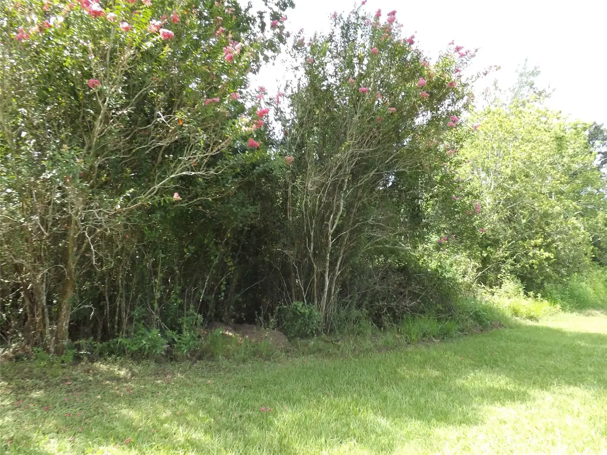 TBD Willow Rd, Wallis, TX 77485 - #1