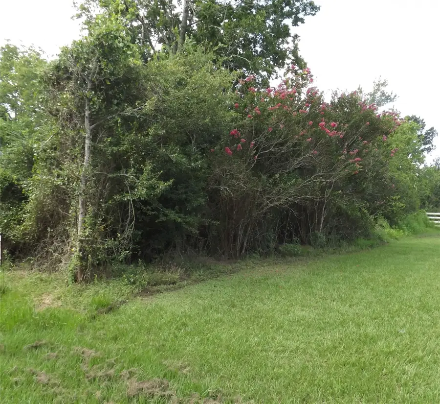 TBD Willow Rd, Wallis, TX 77485 - #2