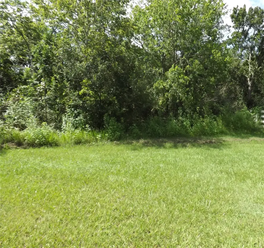 TBD Willow Rd, Wallis, TX 77485 - #3