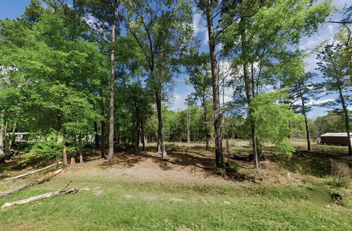 158 County Road 6502 W, Dayton, TX 77535 - #1