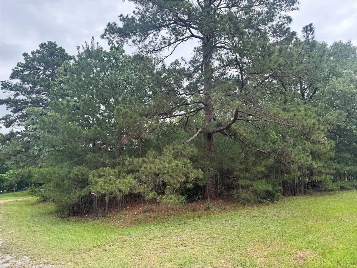 TBD Persimmon Cir, Point Blank, TX 77364 - #1