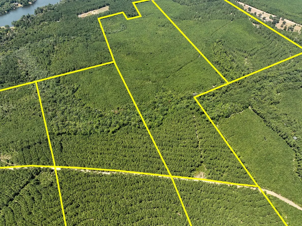 1 Fm 256, Colmesneil, TX 75938 - #1