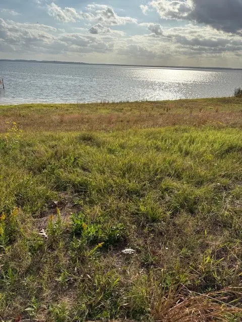 0 R Nickerson Rd, Livingston, TX 77351 - Image #1