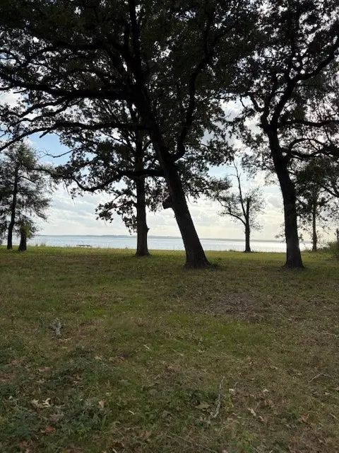 0 R Nickerson Rd, Livingston, TX 77351 - Image #3