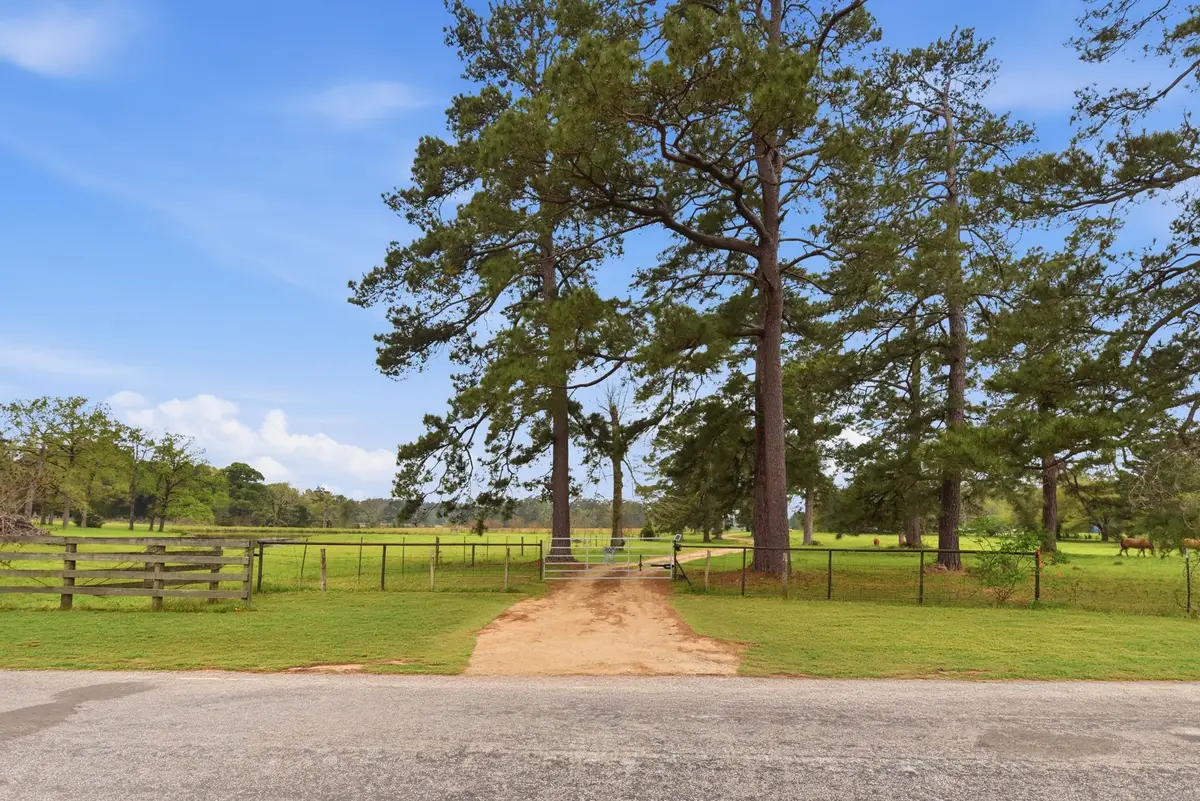 882 Four Notch Road, Huntsville, TX 77340 - #1