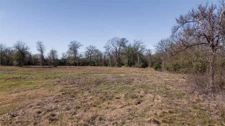 Tbd Tract 3 Wallace Rd, Madisonville, TX 77864 - #3