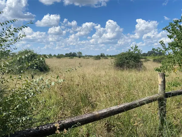 29511 Burton Cemetery Road, Waller, TX 77484