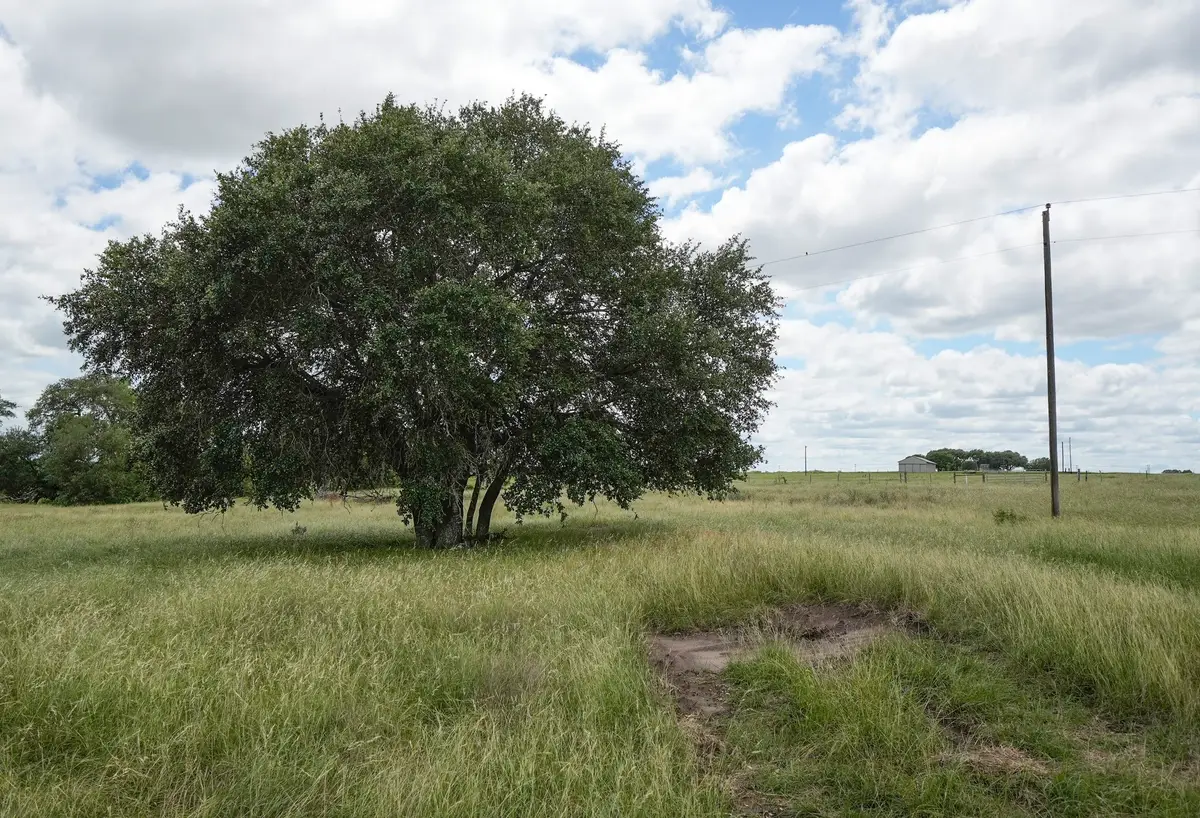 1432 S Knezek Road, Flatonia, TX 78941 - #1