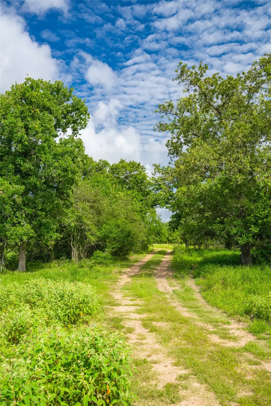 0 Cr 1, Edna, TX 77957 - #2