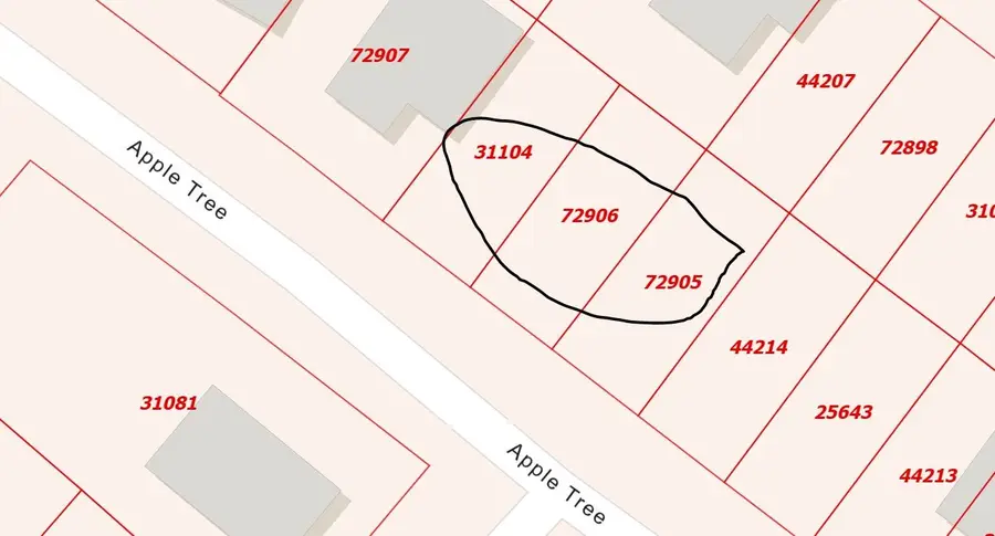 0 Apple Tree, Livingston, TX 77351 - #2