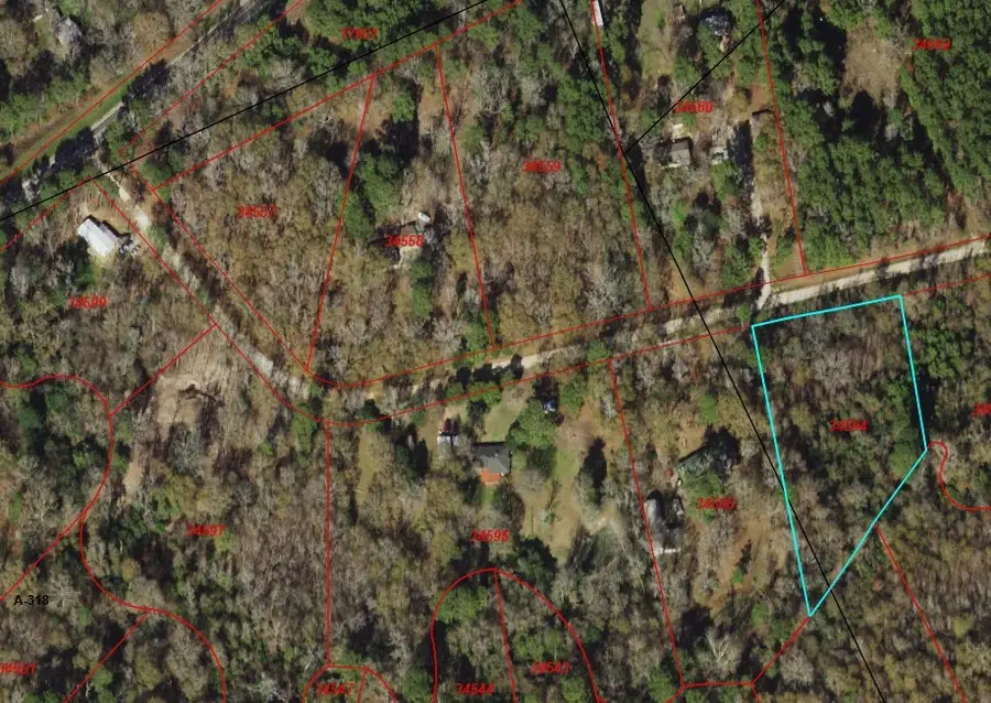 33 Gourd Creek Drive, Huntsville, TX 77340 - #2