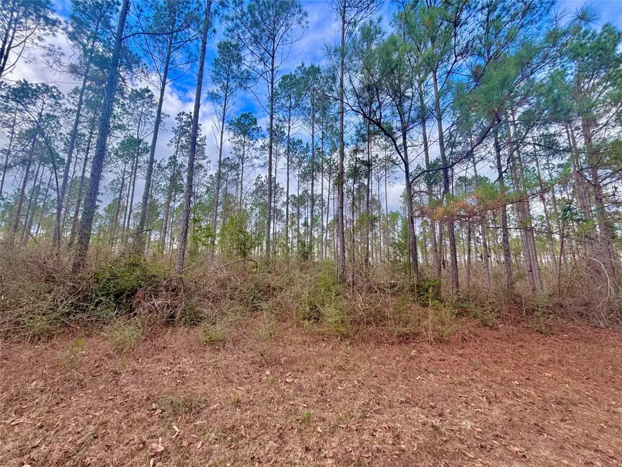 000 Fm 1005, Jasper, TX 75951 - Image #2