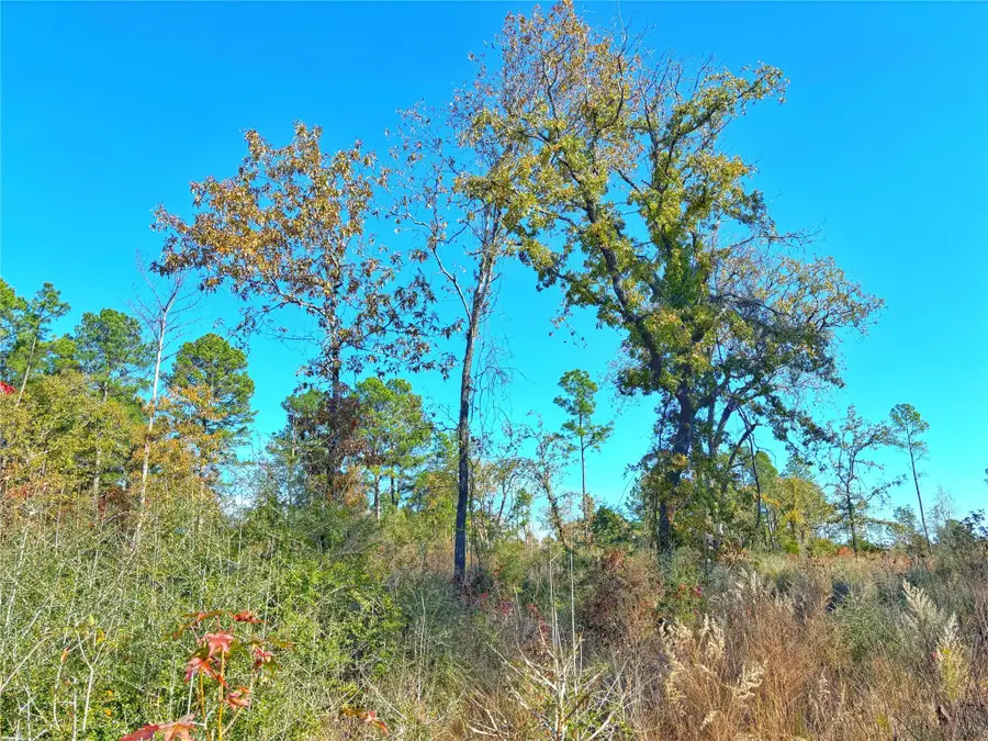 0 Fm 2022, Grapeland, TX 75844 - Image #3