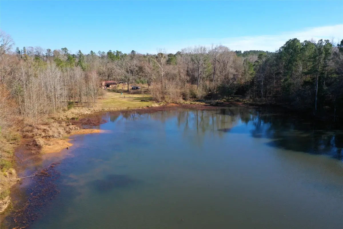 3901 County Road 1585, Grapeland, TX 75844 - Image #1