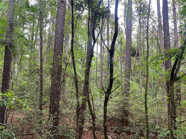 TBD The Ole Barney Road, Livingston, TX 77351