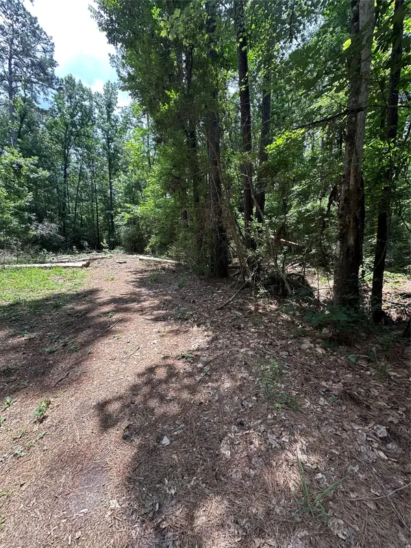 Lot 715 & Lot 716 N Royal Estates Drive, Conroe, TX 77303