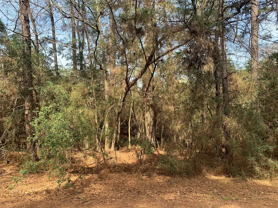 19 Pavlock Road, Navasota, TX 77868 - #3