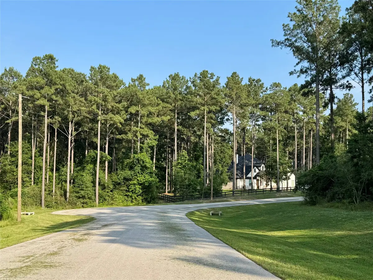 TBD Rising Sun Court, New Waverly, TX 77358 - #1