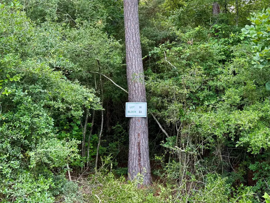 TBD Rising Sun Court, New Waverly, TX 77358 - #2