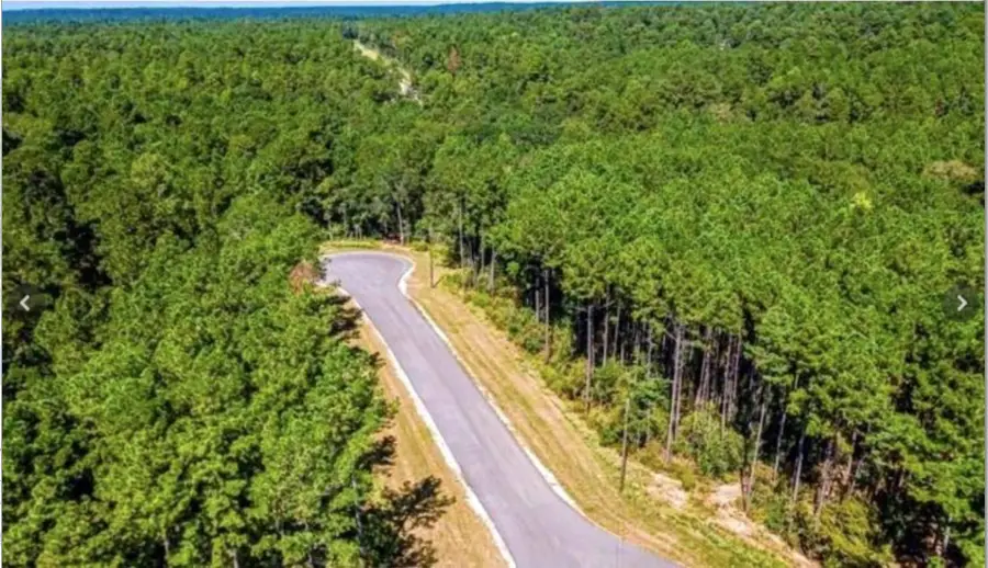 TBD Rising Sun Court, New Waverly, TX 77358 - #3