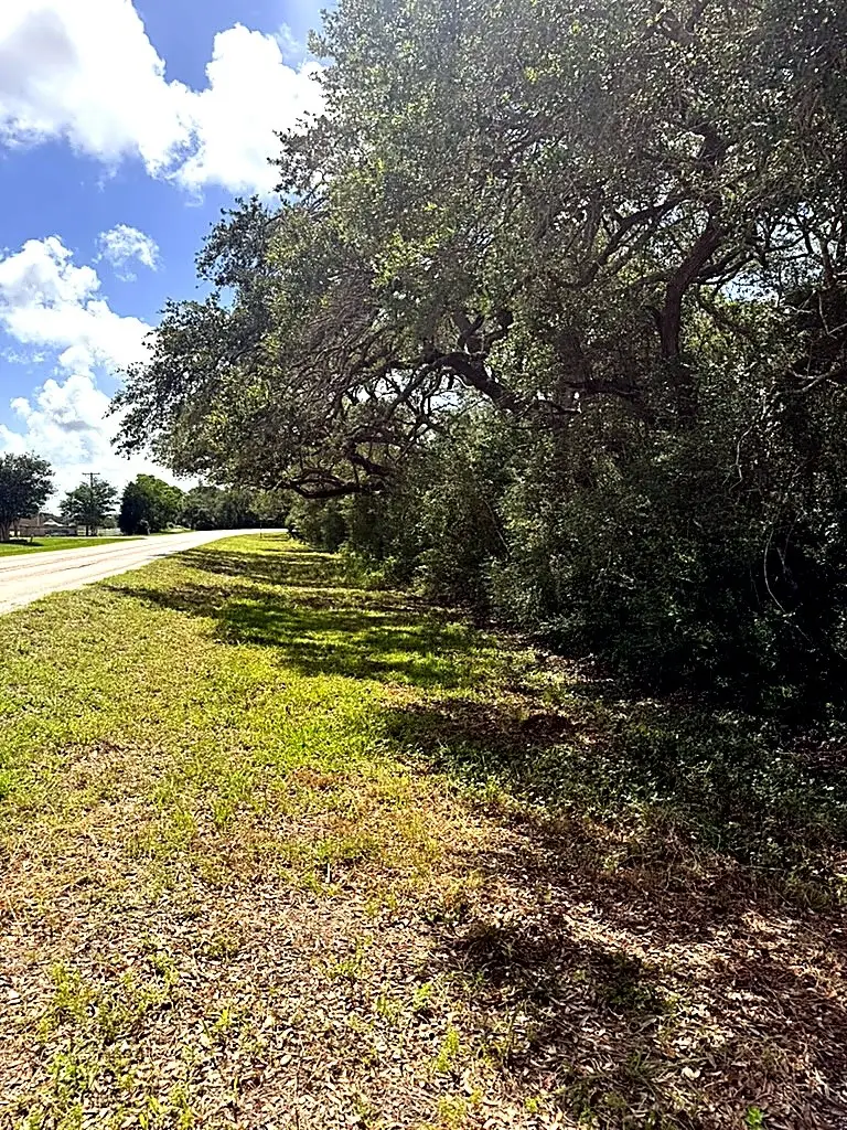0 Fm 2853, Clemville, TX 77414 - #1
