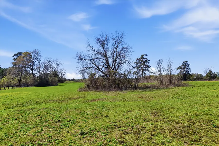 27390 Fm 1097 West, Montgomery, TX 77356 - #3