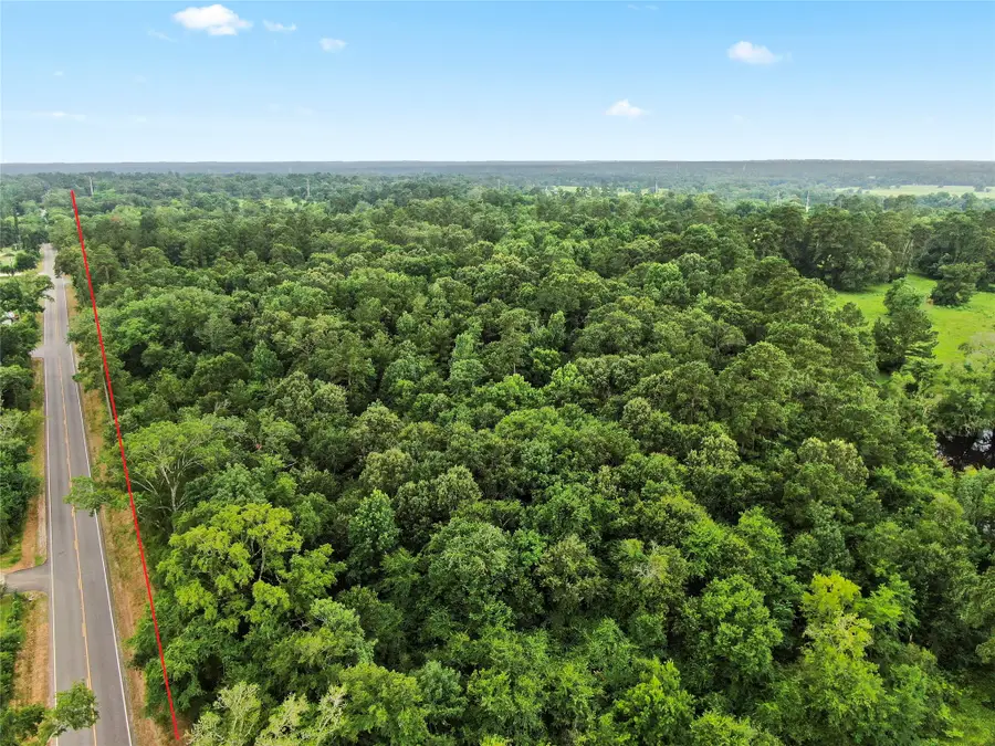 3920 Spring Branch Road, Montgomery, TX 77316 - #2