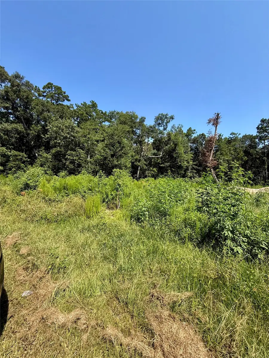 TBD Lot 1 Rolling Hills Drive, Porter, TX 77365 - #3
