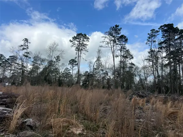 TBD Three Bridges Road, Livingston, TX 77351