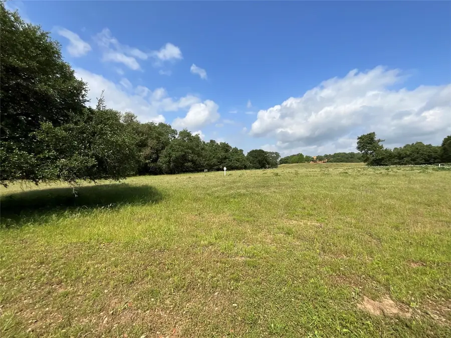 114 Red Stag Lane, Columbus, TX 78934 - #3
